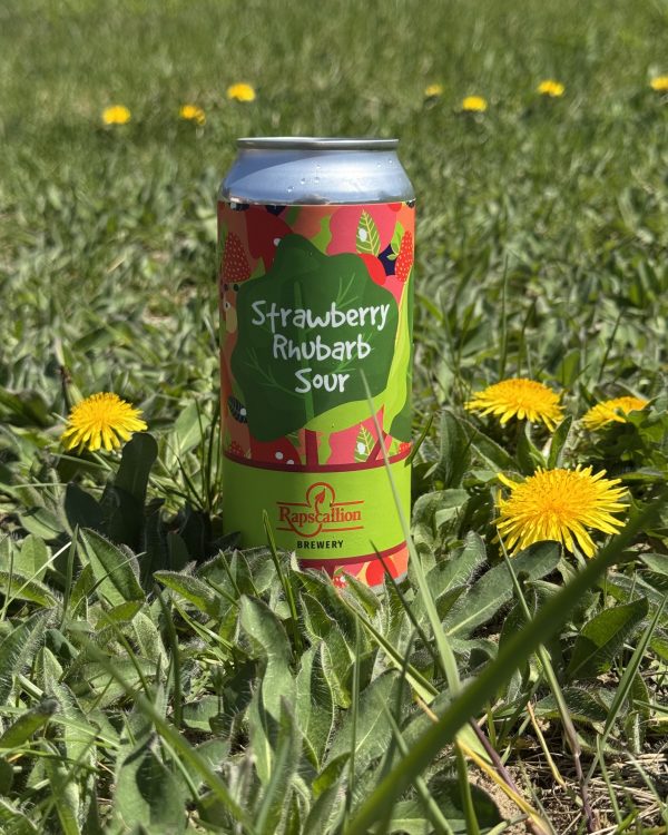 Strawberry Rhubarb Sour 4-pk